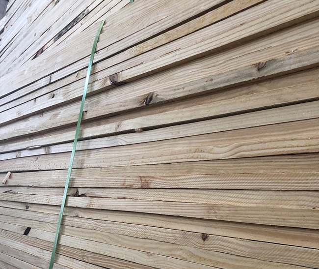 海林巴西松